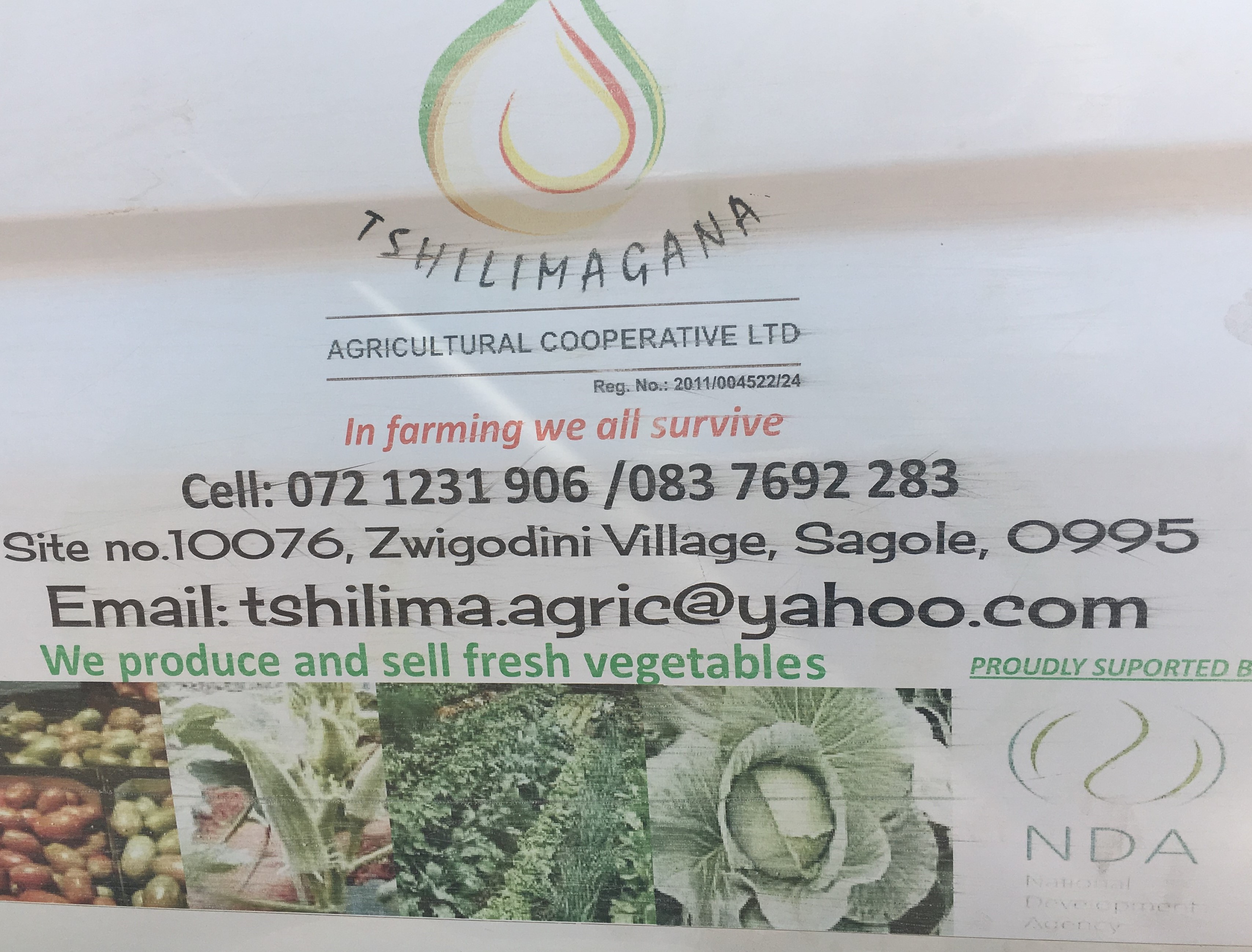Tshilimangana Agricultural Cooperative